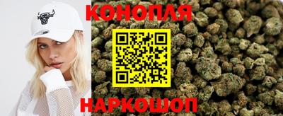 твердый Бийск