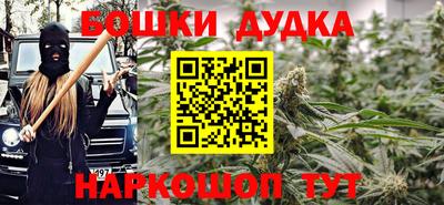 твердый Бийск