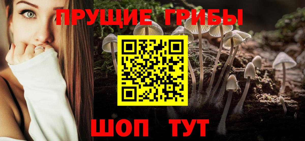 Галлюциногенные грибы мицелий Долгопрудный